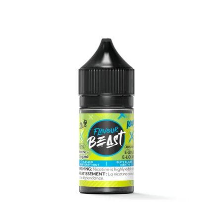 Flavour Beast Salt - Blessed Blueberry Mint Iced - Hootz