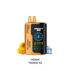 Monin Mango