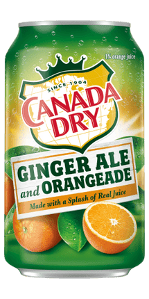 canada dry orangeade 355ml