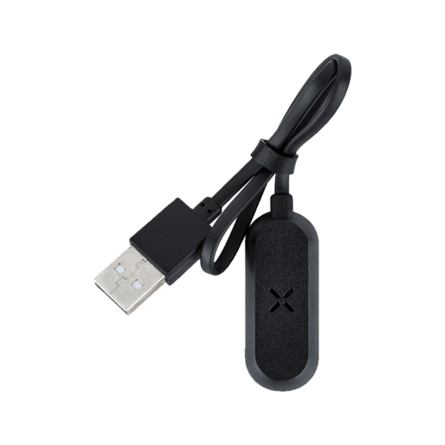 pax mini charger